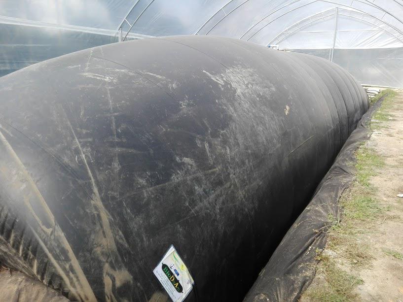 Biodigestor tubular para ganadería