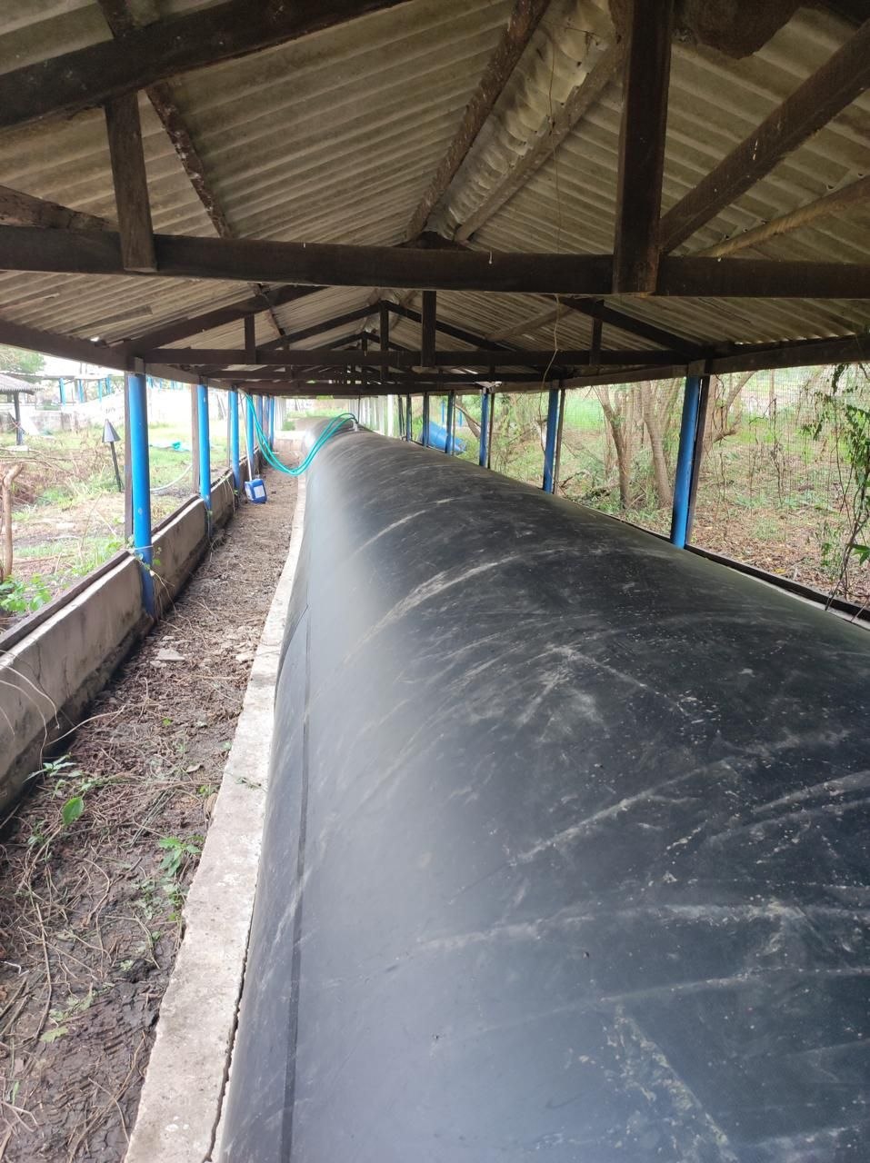 Biodigestor tubular para producción de biogás