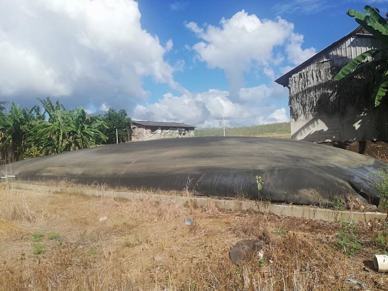 Biodigestor tipo laguna