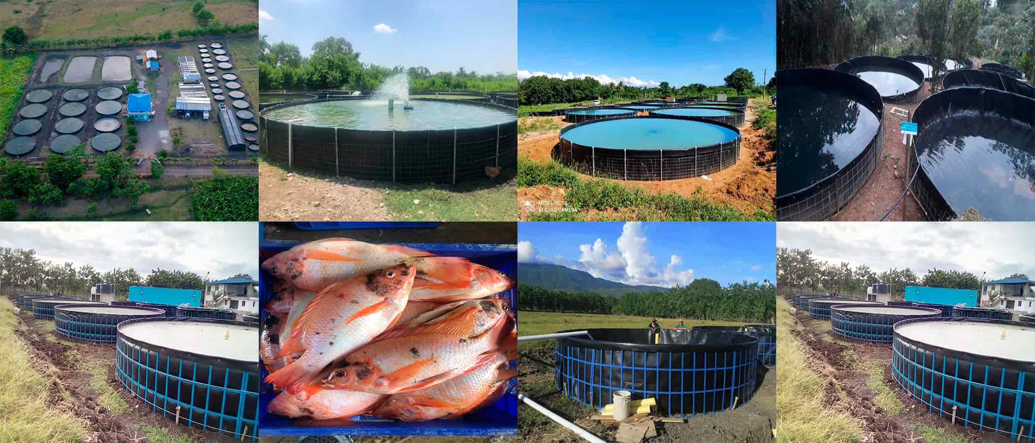 Geomembranas para estanques y agricultura