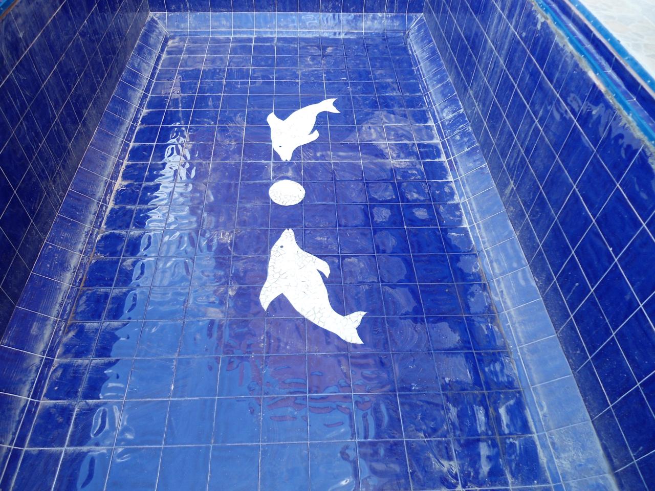 Piscina en geomembrana residencial