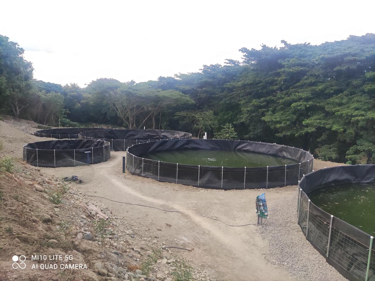 Tanque acuícola para cría de peces