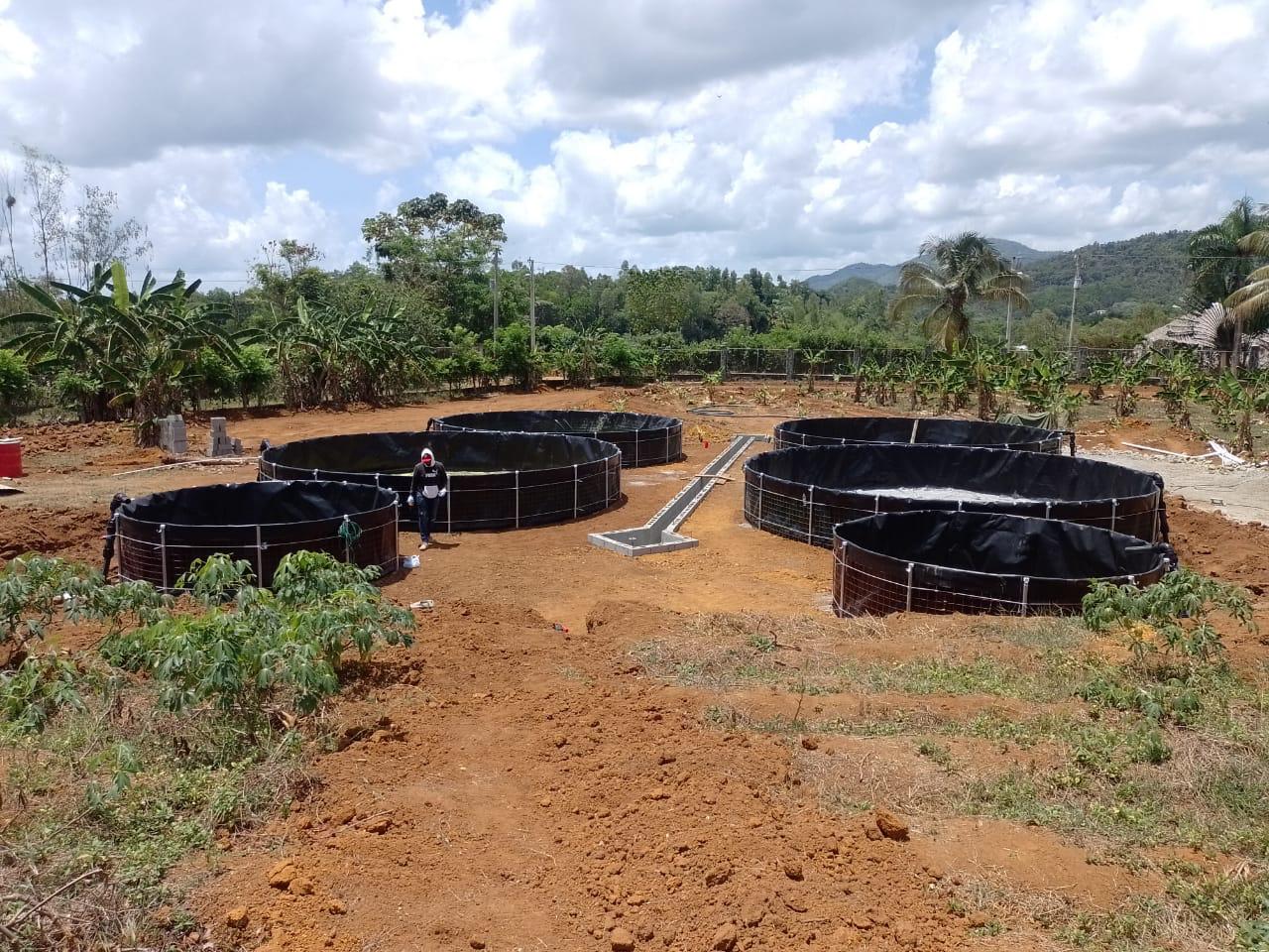 Tanque acuícola para cría de tilapia