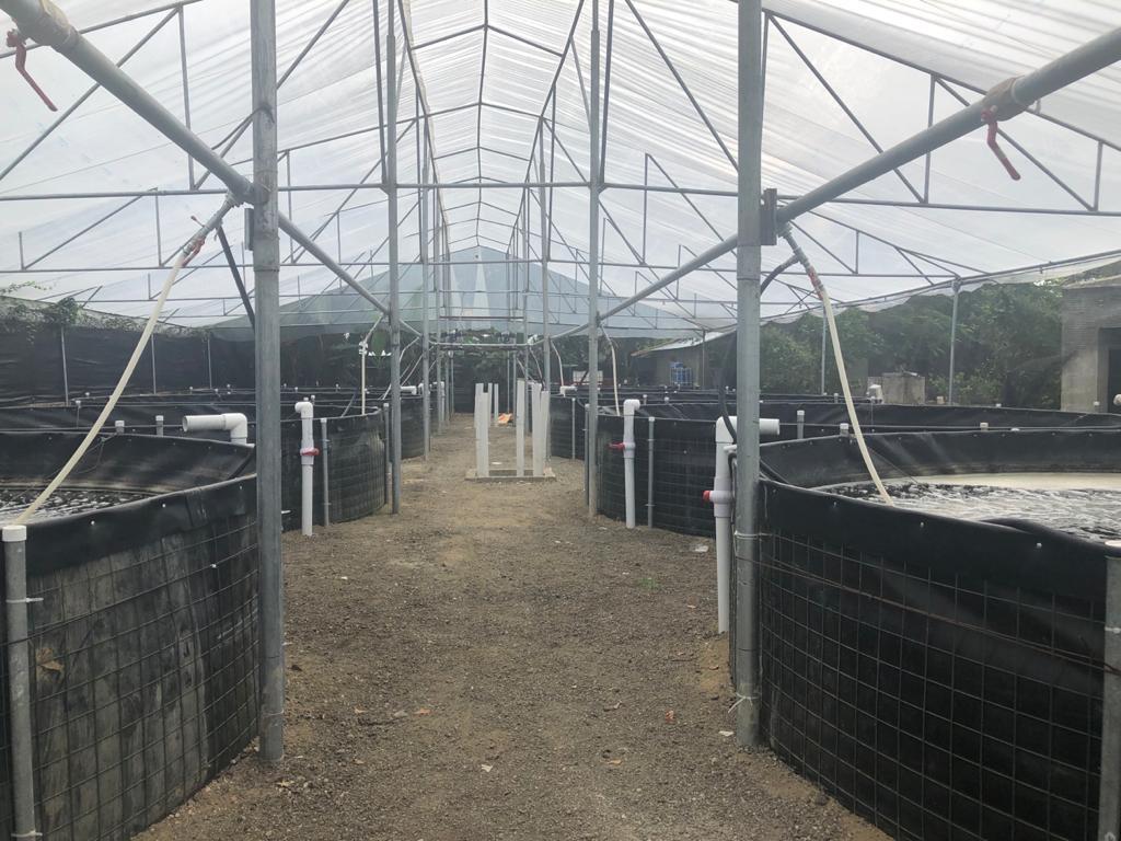 Tanque acuícola con geomembrana LDPE