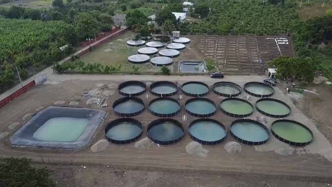 Tanque acuícola para producción de tilapia