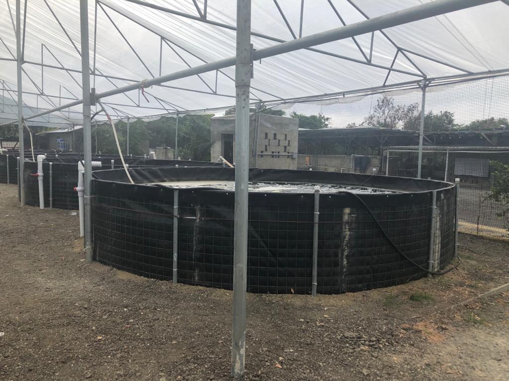 Tanque acuícola circular