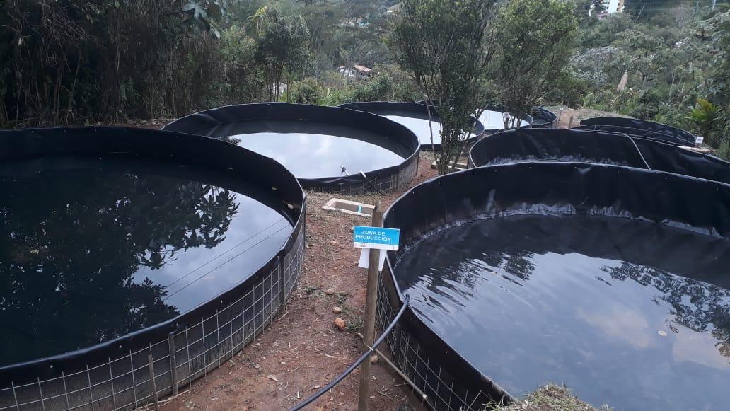 Tanque circular acuícola